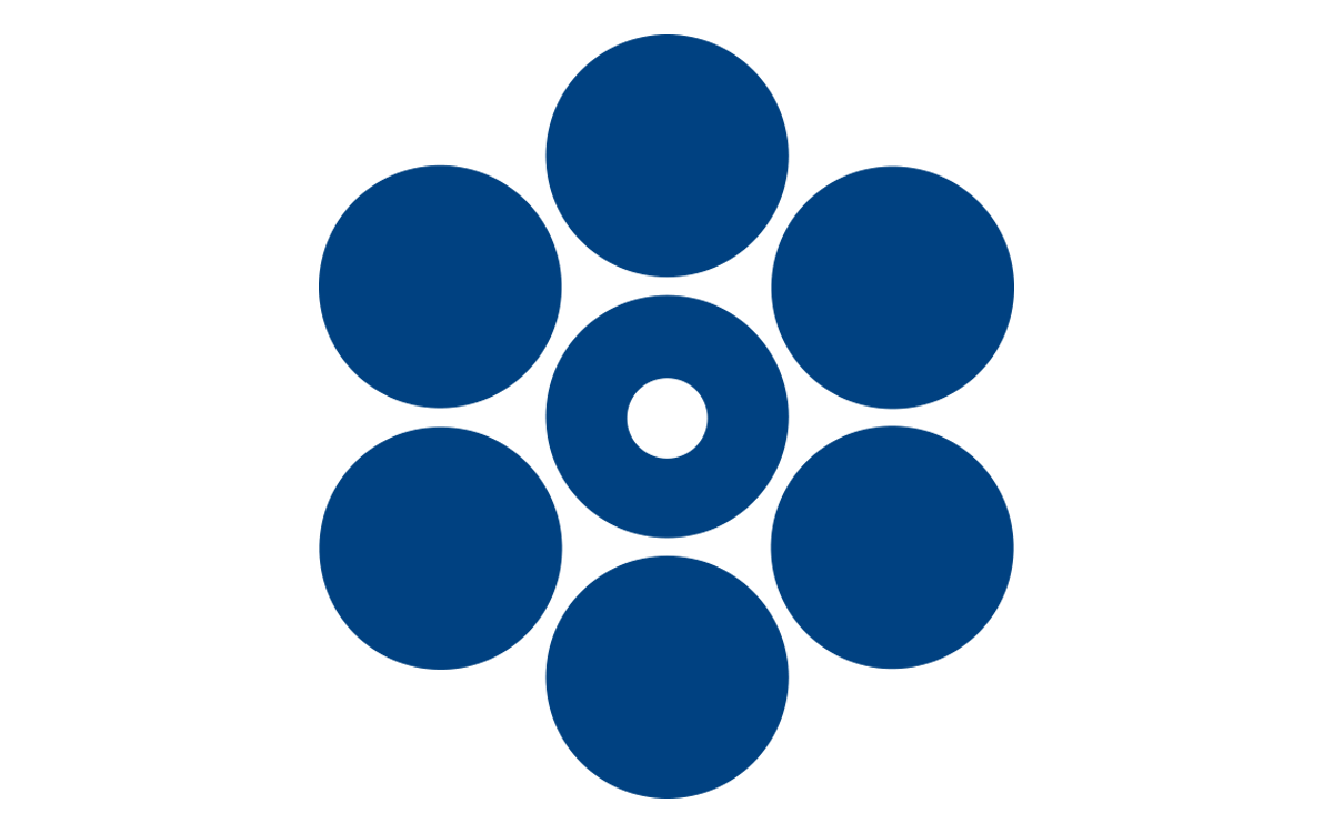 Light Logo
